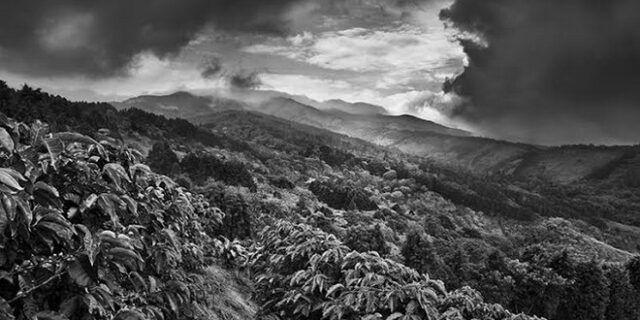 Sebastião Salgado: ‘SCENT OF A DREAM. A journey in the world of coffee’