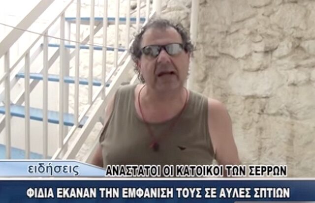 Ελληνικό Παρατηρητήριο Βιοποικιλότητας για φιδοκτόνο Σερρών: Αυτό δεν είναι μαγκιά, θα έπρεπε να είναι φυλακή