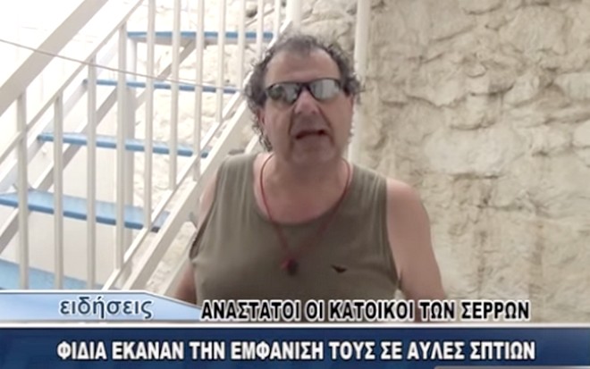 Ελληνικό Παρατηρητήριο Βιοποικιλότητας για φιδοκτόνο Σερρών: Αυτό δεν είναι μαγκιά, θα έπρεπε να είναι φυλακή