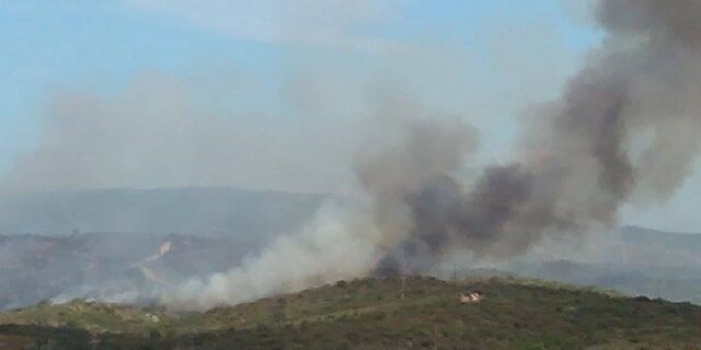 Χαλκιδική: Σε ύφεση η φωτιά στην Ουρανούπολη