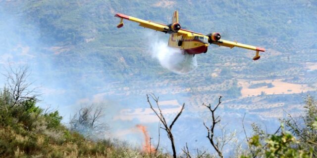 Υπό μερικό έλεγχο τέθηκε η πυρκαγιά στο Γραμματικό