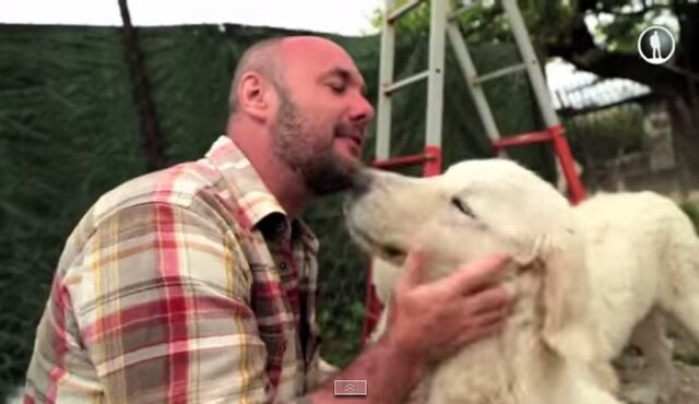 Ένας σκύλος γίνεται πρεσβευτής του τουρισμού της Θεσσαλονίκης στη ρωσική τηλεόραση