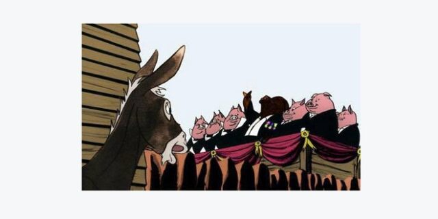 Τα ‘γουρουνάκια’ της Ραχήλ Μακρή για την ψηφοφορία