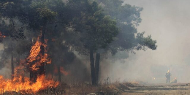 Ηλεία: Μεγάλη φωτιά στο δάσος της Στροφυλιάς