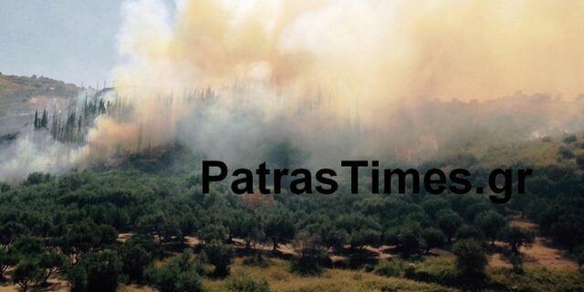 Πάτρα: Ανεξέλεγκτη η φωτιά στα Άνω Συχαινά. Τραυματίστηκαν πυροσβέστες