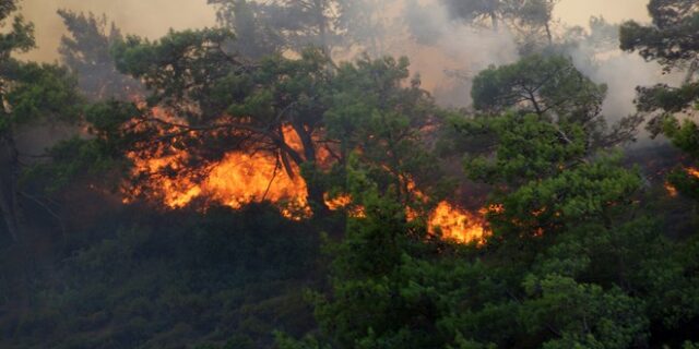 Από «τσάπα» του Δήμου ξέσπασε η πυρκαγιά στο Ξυλόκαστρο