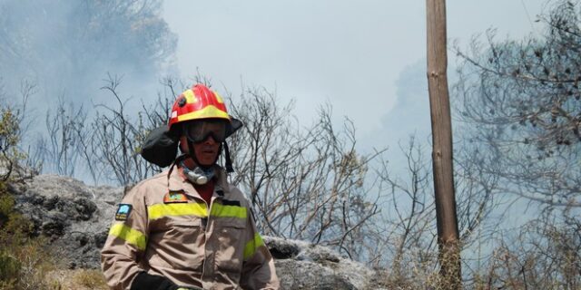 Απίστευτη ομολογία εμπρηστή: Μέθυσε και το θεώρησε αστείο να βάλει φωτιά στο δάσος των Αφιδνών