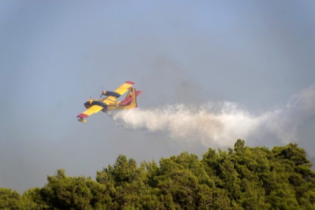 Δύο κτηνοτρόφοι έβαλαν 8 φωτιές μέσα σε 8 ημέρες για να φτιάξουν βοσκοτόπια στην Κεφαλλονιά