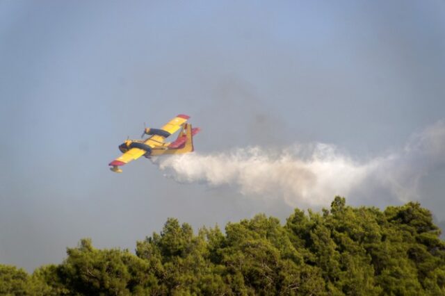 Σε εξέλιξη πυρκαγιά στον Ωρωπό