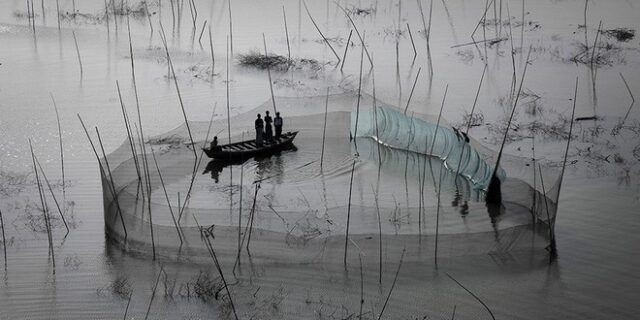 Ο νεοφιλελεύθερος τρόμος