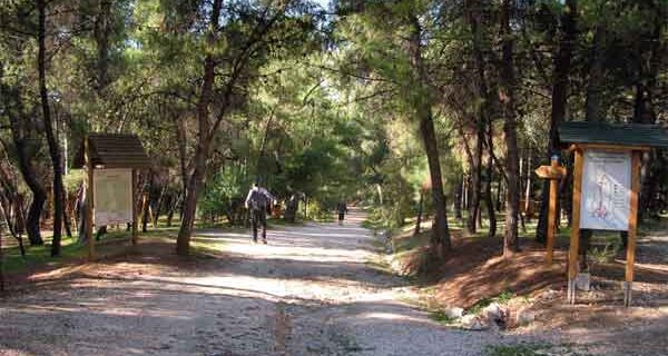 Μυστήριο με νεκρό άνδρα στο Χαϊδάρι