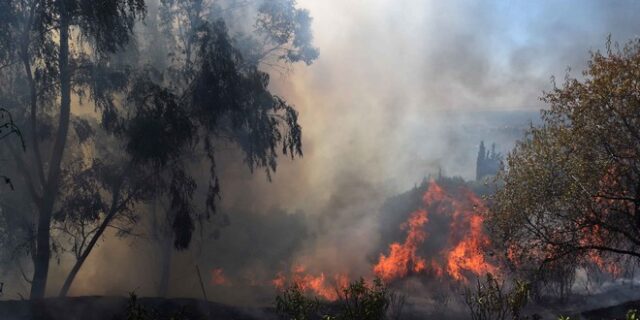 Σε εξέλιξη μεγάλη φωτιά σε περιοχή της Σητείας Λασιθίου