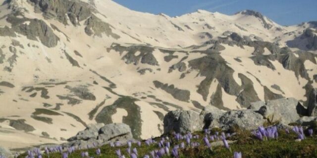 Μηχανή του Χρόνου: “Η Κωστηλάτα ήταν και θα μείνει δική μας”. Η ηρωική απάντηση των κτηνοτρόφων στα Τζουμέρκα