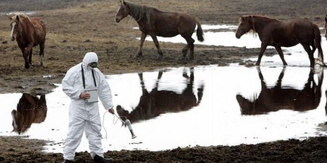 Τσέρνομπιλ 30 χρόνια μετά: Τα άγρια ζώα επέστρεψαν στο ‘φυσικό’ καταφύγιο