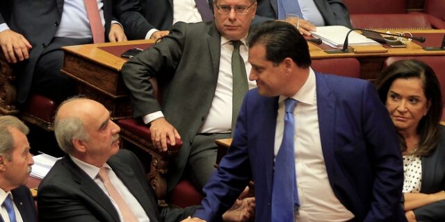 ΝΔ: Διαψεύδουν Μεϊμαράκης και Άδωνις τις φήμες για απόσυρσή τους από την προεκλογική κούρσα