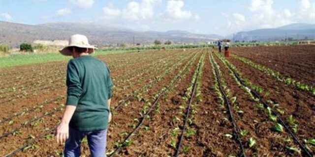 Αποστόλου: Θεσπίζεται όριο ακατάσχετου των αγροτικών επιδοτήσεων
