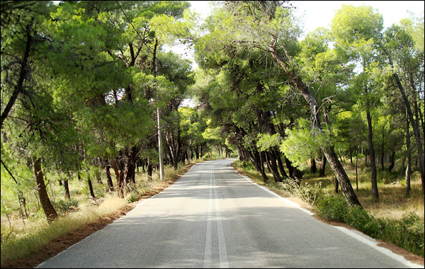 Νεκρός άνδρας κοντά σε ταβέρνα στη Βαρυμπόμπη