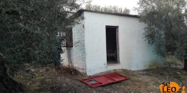 Αυτό είναι το κρησφύγετο του συζυγοκτόνου της Χαλκιδικής