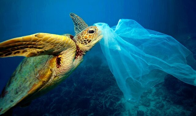 Το 2050 οι ωκεανοί θα έχουν περισσότερα πλαστικά παρά ψάρια