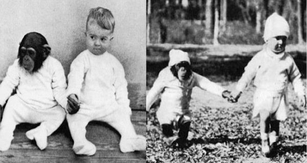 Μηχανή του Χρόνου: Το βρέφος που μεγάλωσε στην ίδια οικογένεια με συνομήλικο χιμπατζή