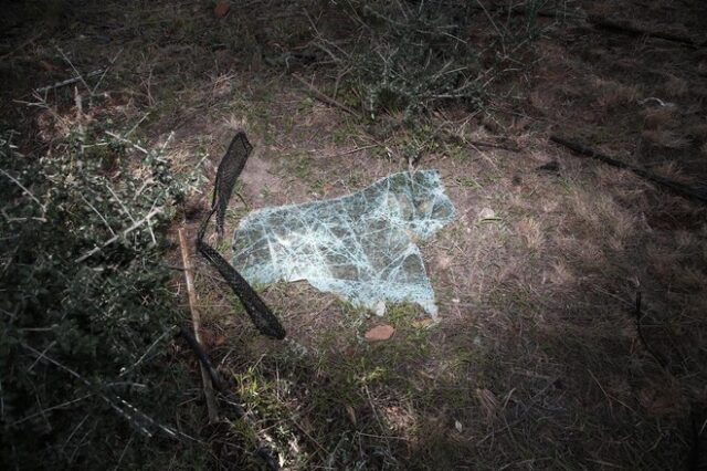 Τι είπε η 21χρονη Φρόσω στους αστυνομικούς