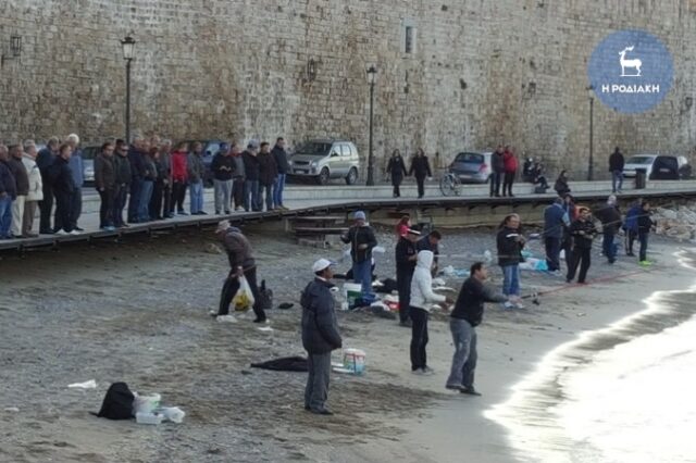 Ρόδος: Τσιπούρες βγήκαν στη στεριά