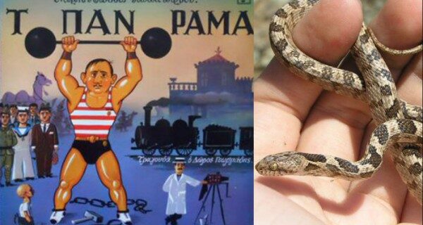 Μηχανή του χρόνου: ‘Δεν είναι βόας, δεν είναι κροταλίας. Είναι το φιδάκι ο Διαμαντής’. Η ιστορία της διάσημης φράσης