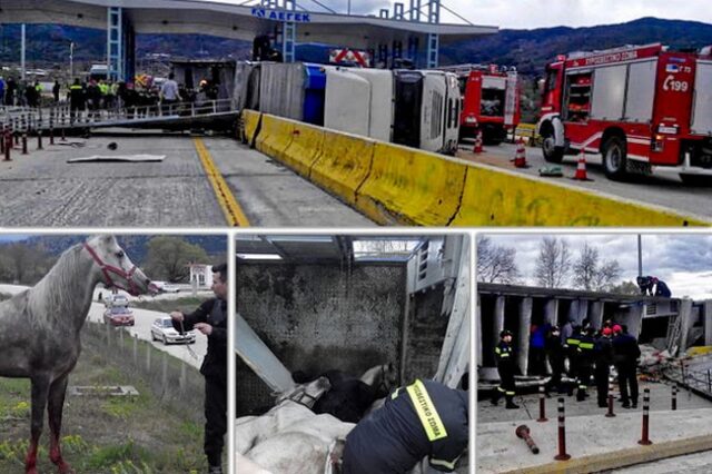 Ανετράπη νταλίκα φορτωμένη με άλογα στην Εγνατία Οδό