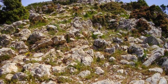 Το αφορολόγητο κτήμα