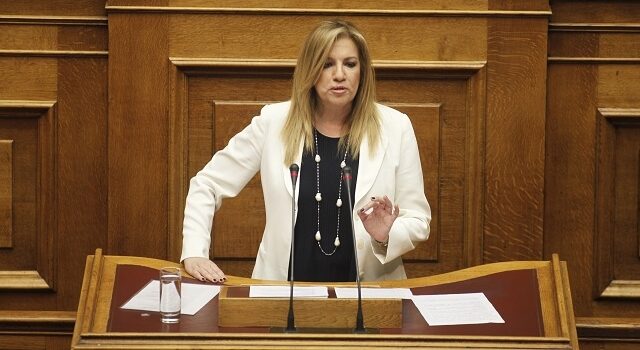Για προχειρότητα και κινήσεις πανικού κατηγορεί την κυβέρνηση η πρόεδρος του ΠΑΣΟΚ