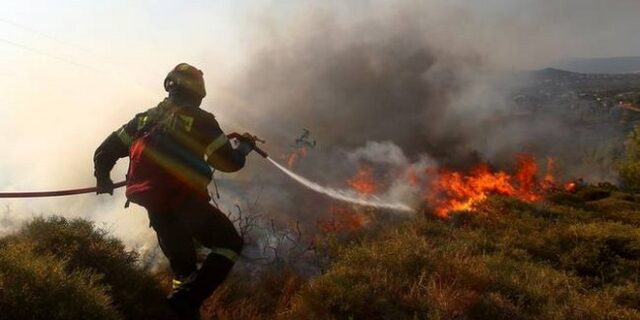Υπό έλεγχο η πυρκαγιά στην Επίδαυρο
