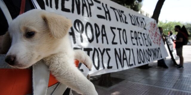 Ένας χρόνος από την έναρξη της δίκης της ΧΑ: Διαμαρτυρία στο Εφετείο Αθηνών