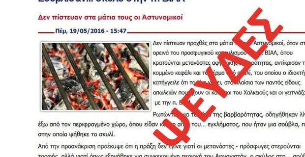 Ψευδές το δημοσίευμα για σούβλισμα σκύλου από πρόσφυγες