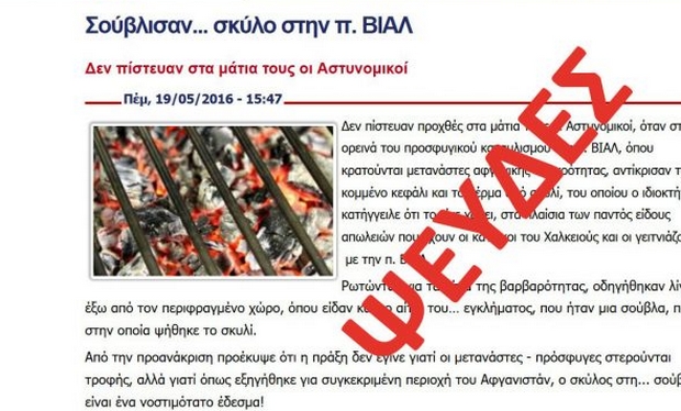 Ψευδές το δημοσίευμα για σούβλισμα σκύλου από πρόσφυγες