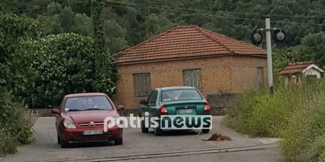 Φρίκη στον Πύργο: Έσερνε σκυλί με το ΙΧ του