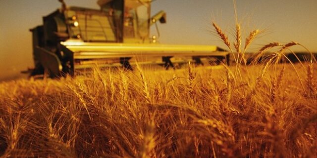 Την αγροτική οικονομία και το γεωργικό εισόδημα στηρίζει η Τράπεζα Πειραιώς