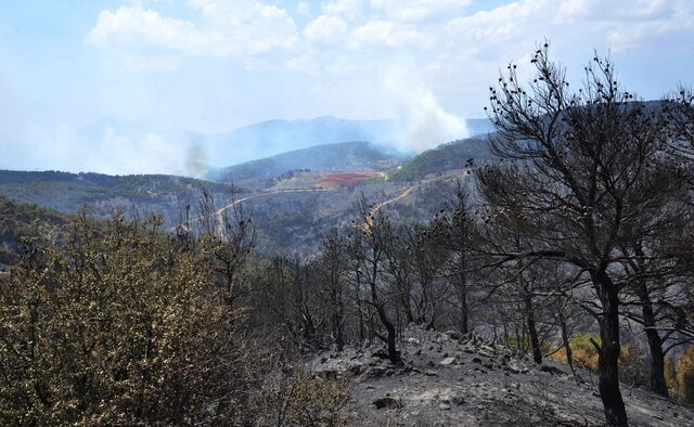 Υπό μερικό έλεγχο η φωτιά στα Δερβενοχώρια