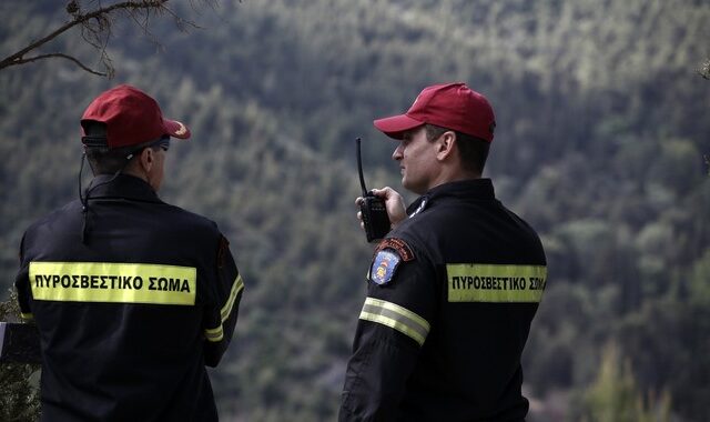 WWF: Ελλιπής η δασοπροστασία στην Ελλάδα