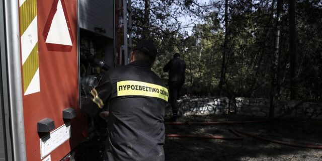 Σε εξέλιξη μεγάλη φωτιά στην Χαλκίδα. Απειλεί τον οικισμό του Δοκού