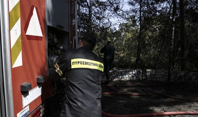 Σε εξέλιξη μεγάλη φωτιά στην Χαλκίδα. Απειλεί τον οικισμό του Δοκού