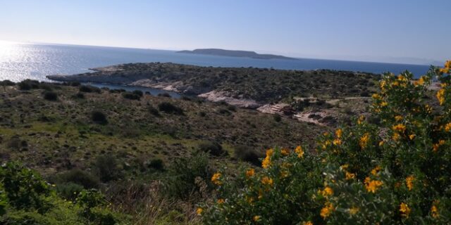 Γνωστός στις Αρχές το θύμα του άγριου φονικού στα Λιμανάκια