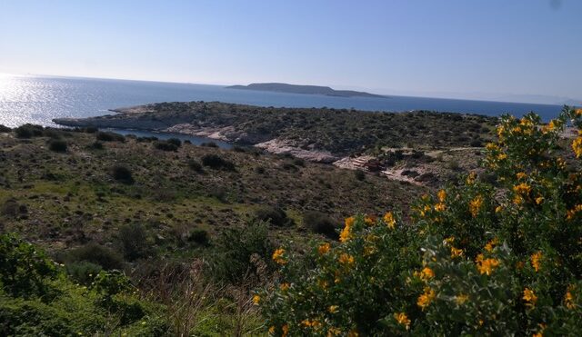 Γνωστός στις Αρχές το θύμα του άγριου φονικού στα Λιμανάκια