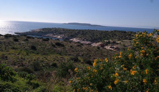 Φόνος στα λιμανάκια: Το τατουάζ που ίσως ‘ξεκλειδώσει’ την ταυτότητα του θύματος