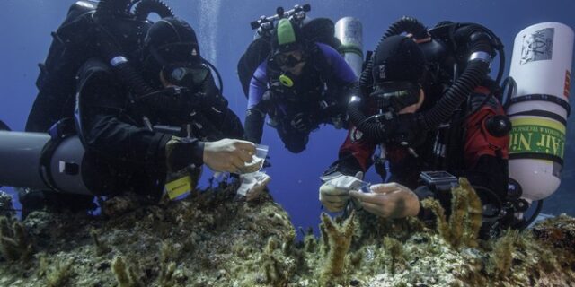 Νέα εντυπωσιακά ευρήματα στο ναυάγιο των Αντικυθήρων