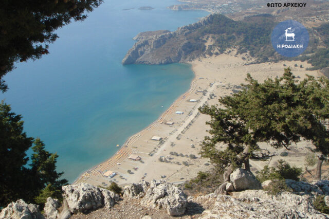 Όλα για το καθήκον: Εφοριακός βούτηξε στη θάλασσα για να συλλάβει φοροφυγά