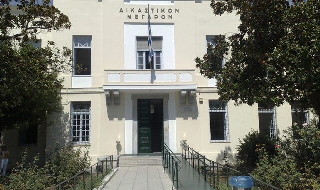 Φυλακή και πρόστιμο για δολοφονία γάτας στο Βόλο