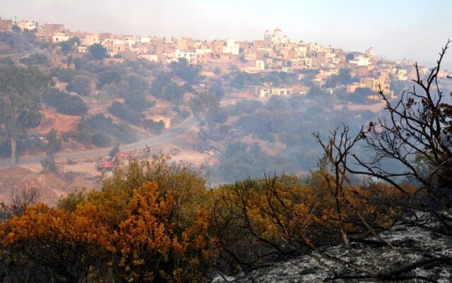 Φωτιά στη Χίο: Προσπάθειες να ελεγχθεί πριν βραδιάσει