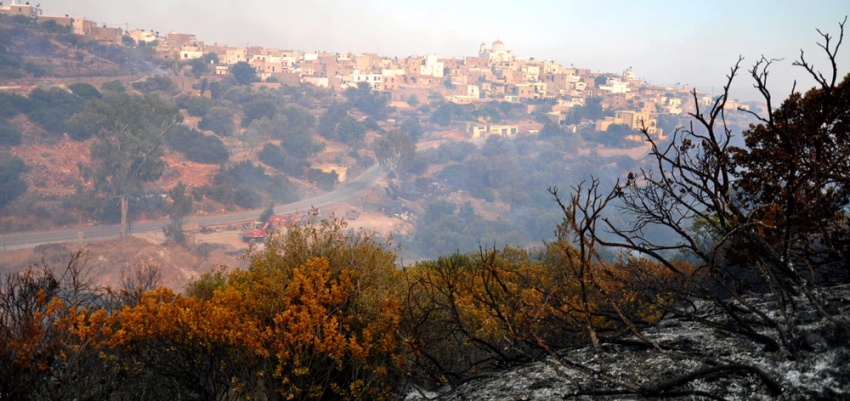 Φωτιά στη Χίο: Προσπάθειες να ελεγχθεί πριν βραδιάσει