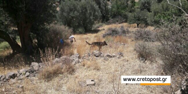 Κρήτη: Βρέθηκε η 16χρονη Κλαρίσα