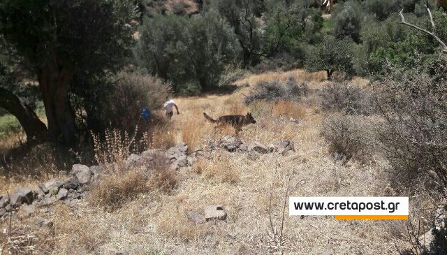 Κρήτη: Βρέθηκε η 16χρονη Κλαρίσα